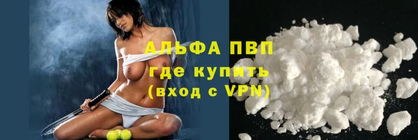 гашик Горняк