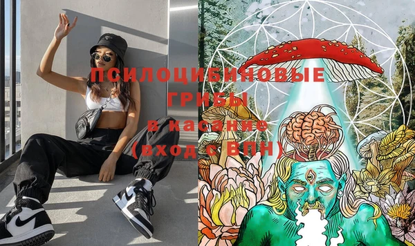 марихуана Гусев