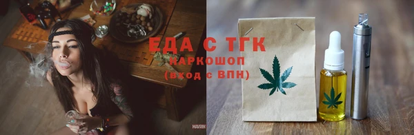 гашик Горняк