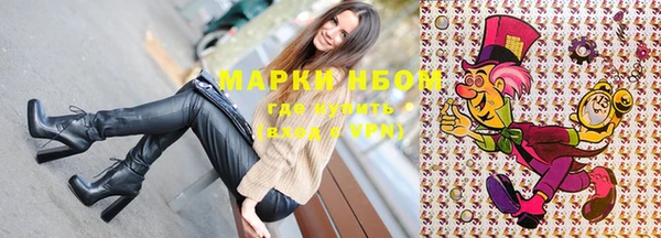 гашик Горняк