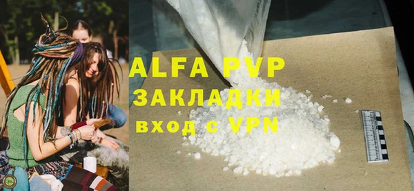 гашик Горняк