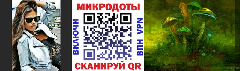 Купить  Невель  Галлюциногенные грибы Psilocybine cubensis 